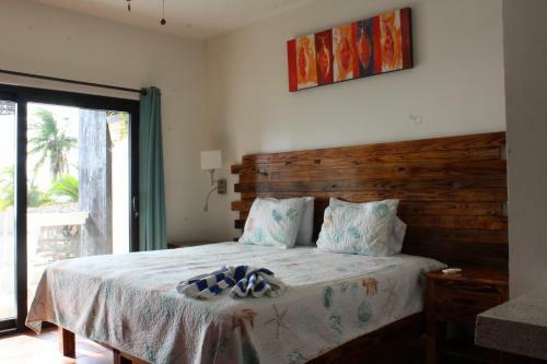 Hotel Brisas Del Mar Beach + Dive Resort