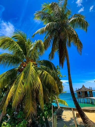 Hotel Brisas Del Mar Beach + Dive Resort