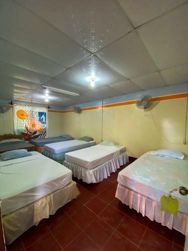 Hostal Tortuga Viajera