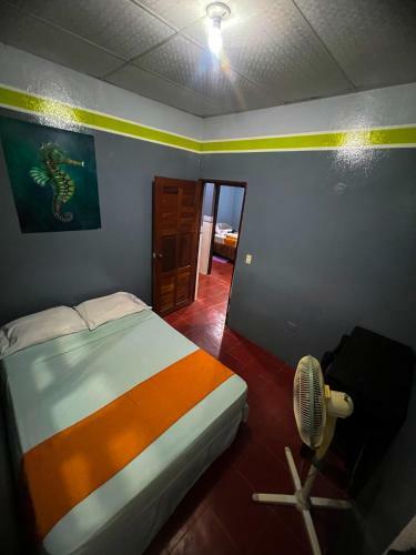 Hostal Tortuga Viajera