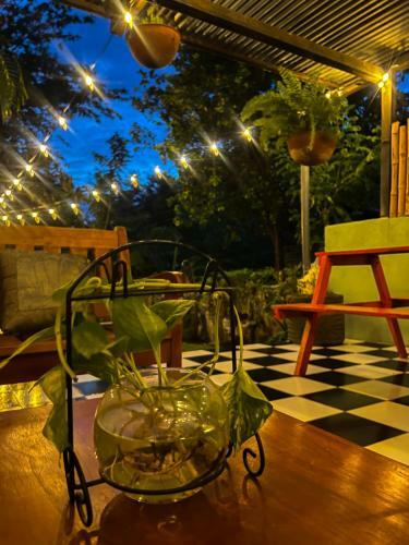 Hostal Tortuga Viajera