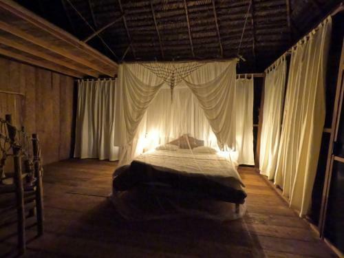 Enchanting Jungle Villa ? Umari