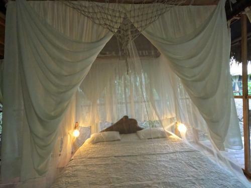 Enchanting Jungle Villa ? Umari