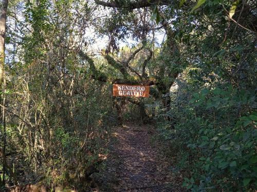 Apartamento Verde Mora Termas De Guaviyu