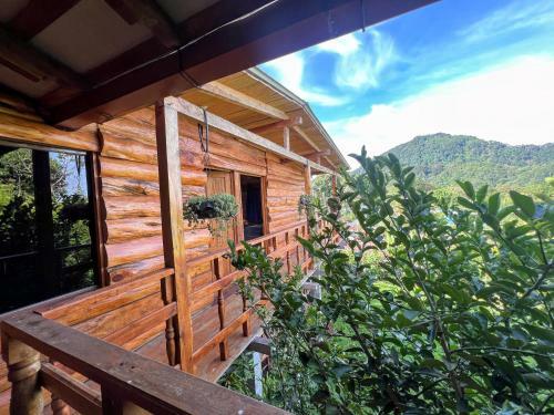 Bed & Breakfast Hostal Casa El Volc�n