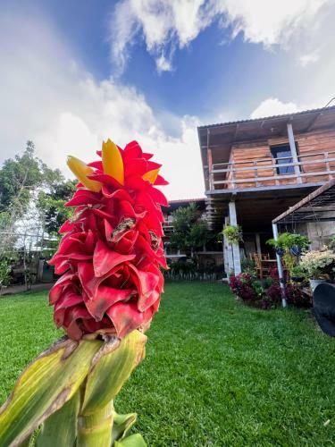 Bed & Breakfast Hostal Casa El Volc�n