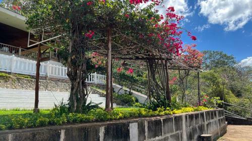 Hotel Vulcano Ecovista