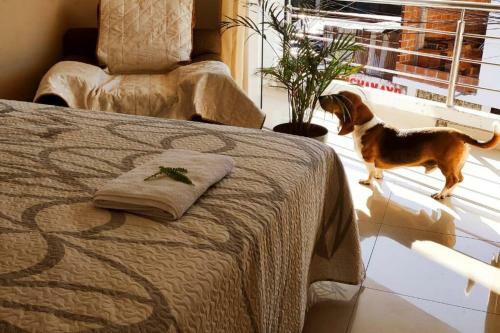 Apartamento Chanchamayo A Patas