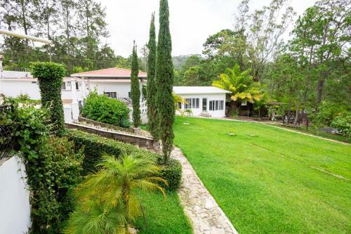 Hotel Cocoview, Bar & Restaurante