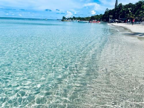 Apartamento Ocean Front Dream, Coral Sands #7
