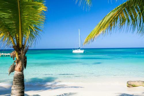 Apartamento Ocean Front Dream, Coral Sands #7