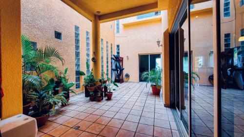 Apartamento Ocean Front Dream, Coral Sands #7