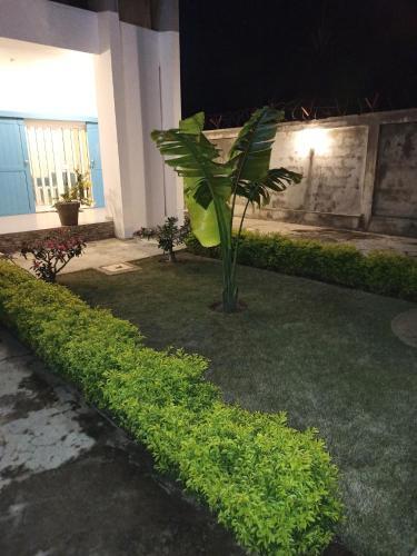 Apartamento Chez F�mi