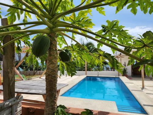 Apartamento Monta�a Del Mar
