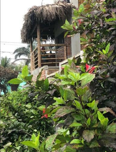 Apartamento Wiki Surf House, Tu Suite Frente Al Mar.