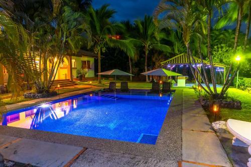Iguana Apartmentos And Estate