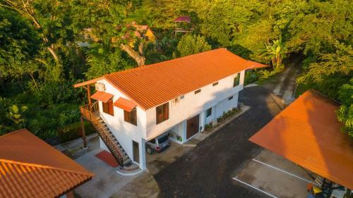Iguana Apartmentos And Estate