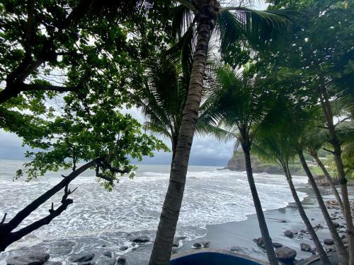 Posada Isla Bonita Sv