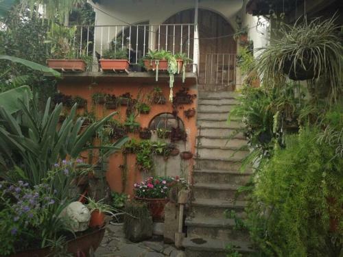 Apartamento Rustico