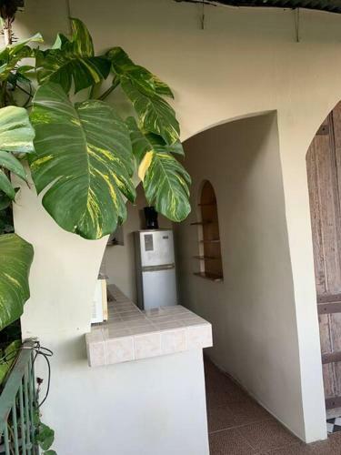 Apartamento Rustico