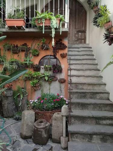 Apartamento Rustico