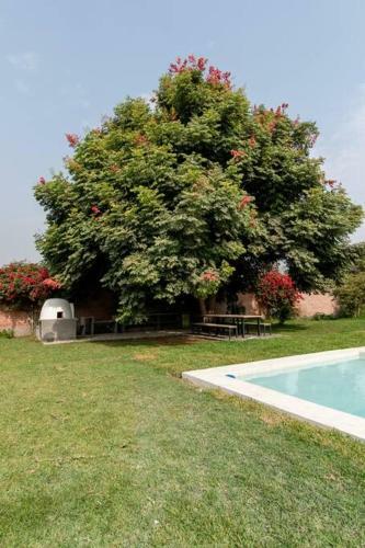 Villa Fundo Mercedes - Pachacamac
