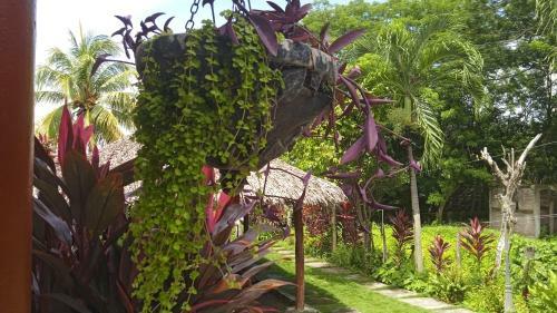Hostal Costa Azul Hostel Ometepe