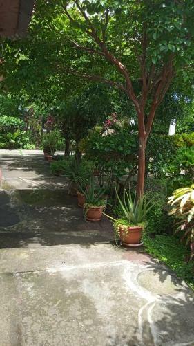 Hostal Costa Azul Hostel Ometepe