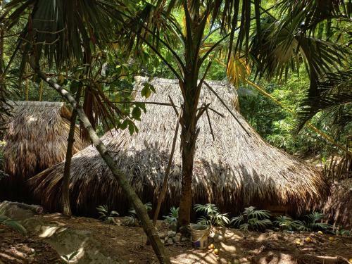 Albergue Magdalena Beach House