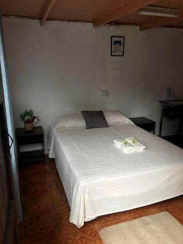 Bed & Breakfast Cabinas Adriana