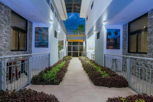 Hotel Havana Jac�