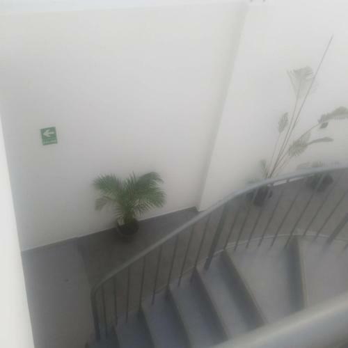 Hostal Coco Lodge Paracas