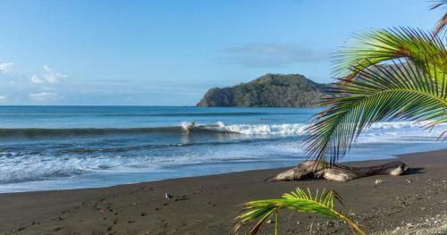 Hostal Tortuga