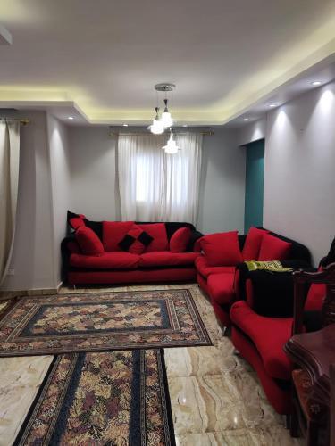 ???? ?? ?????? ????? ??????????khalid Bin Al Waleed Apartments Miami8