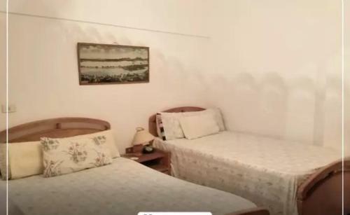 Alex Apartment