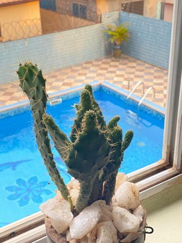 Spacious Studio Apartment With A Pool