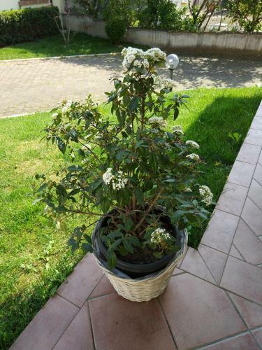 Marinella B&B