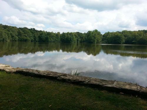 Apartamento Gite Des �tangs De Saint Bale