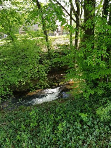 Apartamento Gite Des �tangs De Saint Bale
