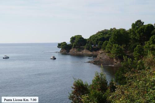 Micheletto