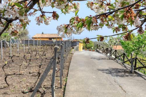 Holiday House In A Former Wine Mill