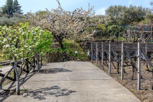 Holiday House In A Former Wine Mill
