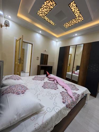 Oscar Apartment 5