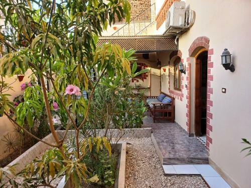 Apartamento King Tut House