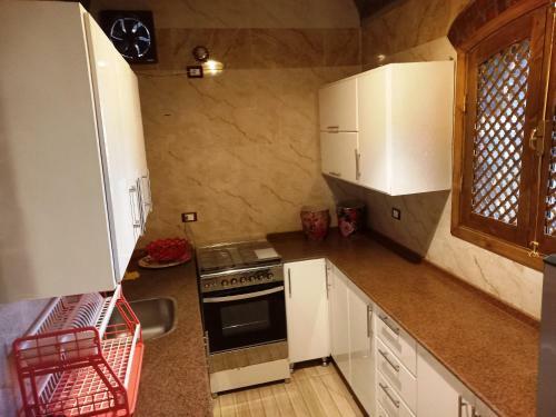 Apartamento King Tut House