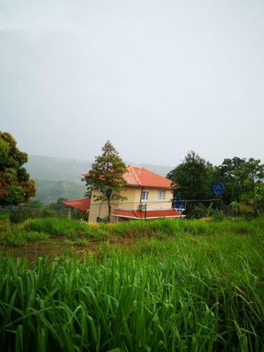 Casa De Monta�a En La Laguna De San Carlos