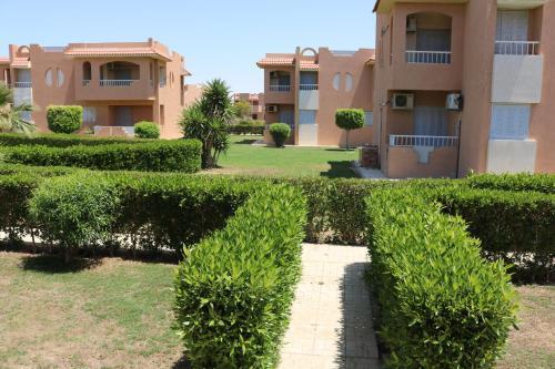 Apartamento ????? 35? ????? ???? ???? ?????? ??????? 3 ??? ?????