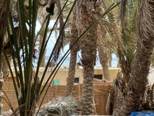 Sea View Apartment, 10 Meter From The Beach