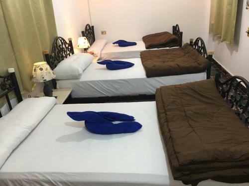 Dahab Home Bed&breakfast
