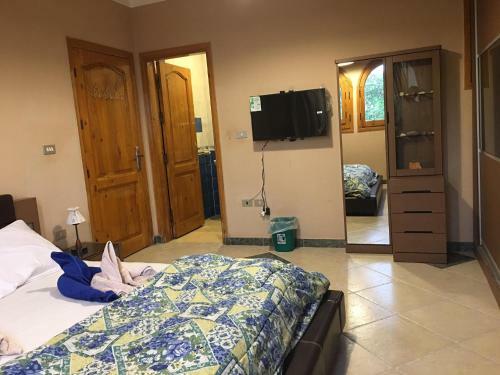 Dahab Home Bed&breakfast